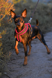 Similar image 21381996