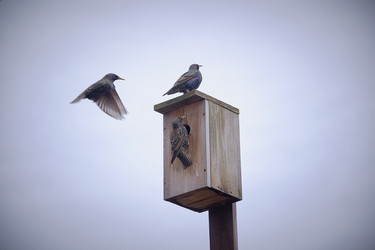 Similar image 21382222