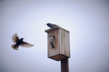 Similar image 21382223