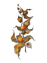 Similar image 21382772