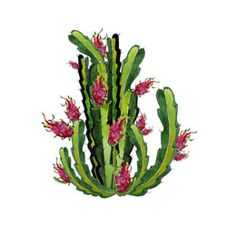 Similar image 21382779