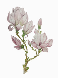 Similar image 21382783