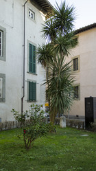 Similar image 21384910