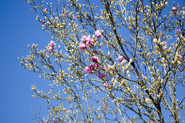 Similar image 21384913