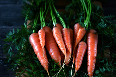 Similar image 21382095