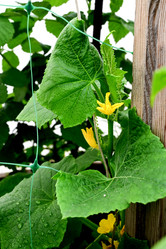 Similar image 21382098