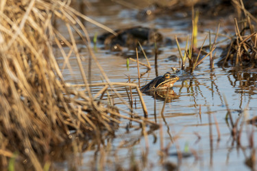 Similar image 21382397