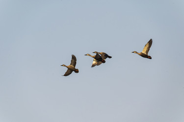 Similar image 21382399