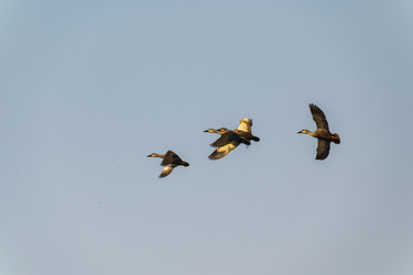 Similar image 21382401