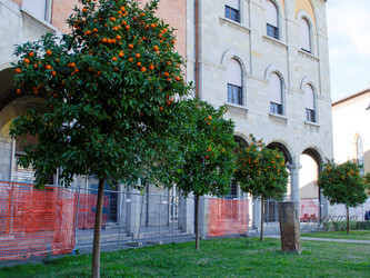 Similar image 21384914