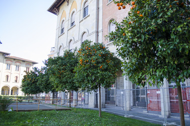 Similar image 21384915