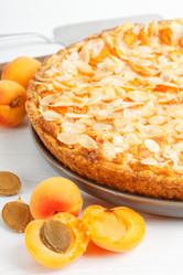 Similar image 21402645