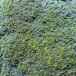 Similar image 21417596