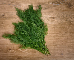 Similar image 21417708