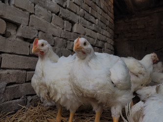 Similar image 21406167