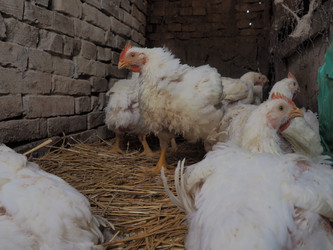 Similar image 21406168