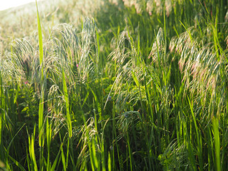 Similar image 21406172