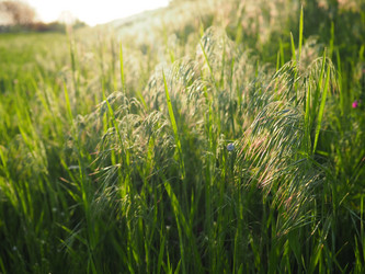 Similar image 21406173