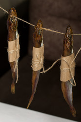 Similar image 21384354