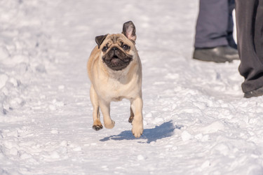 Similar image 21383364