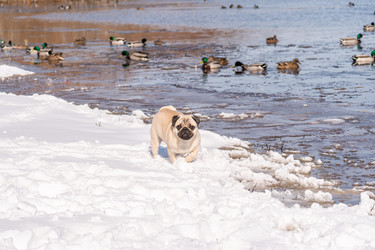 Similar image 21383365