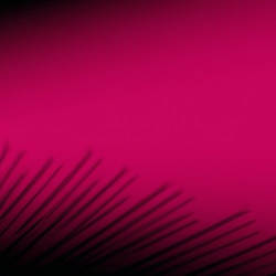 Similar image 21416900