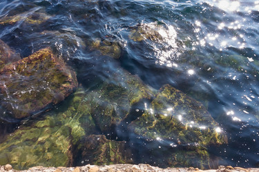 Similar image 21388815