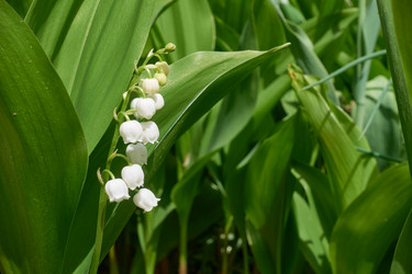 Similar image 21388822