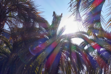 Similar image 21388823