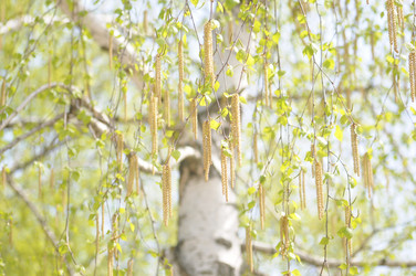 Similar image 21382225