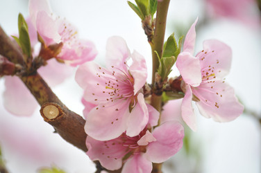 Similar image 21382227