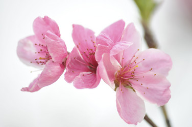 Similar image 21382228