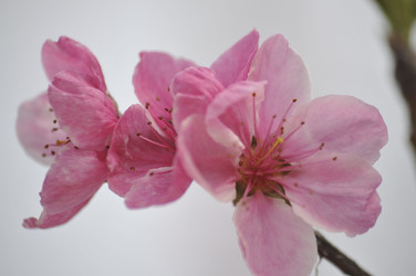 Similar image 21382229