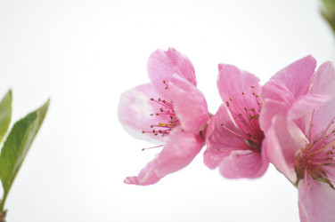 Similar image 21382230