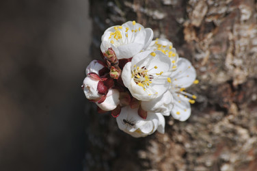 Similar image 21382233