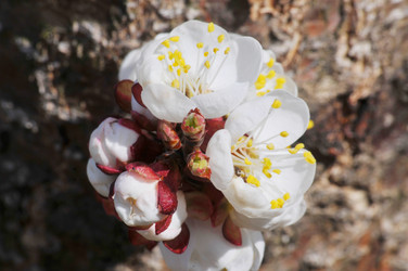 Similar image 21382236