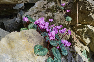 Similar image 21382415