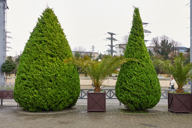 Similar image 21382417