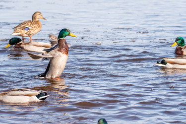 Similar image 21383166