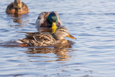 Similar image 21383170