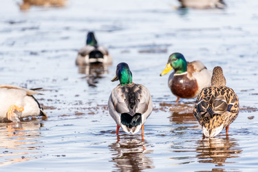 Similar image 21383172