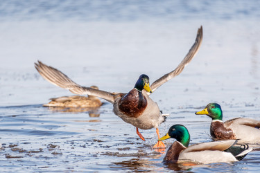 Similar image 21383174