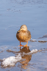 Similar image 21383178