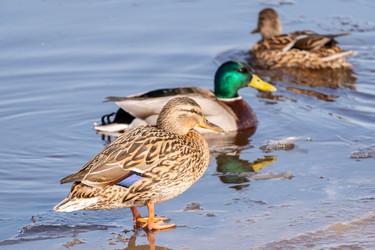 Similar image 21383179