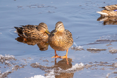 Similar image 21383180