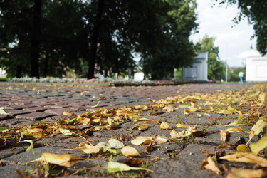 Similar image 21405839