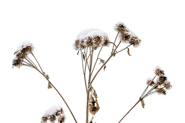 Similar image 21382238