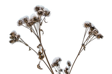 Similar image 21382239