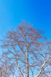 Similar image 21382241