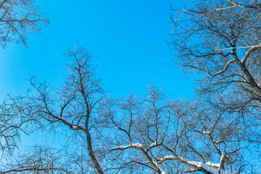 Similar image 21382244